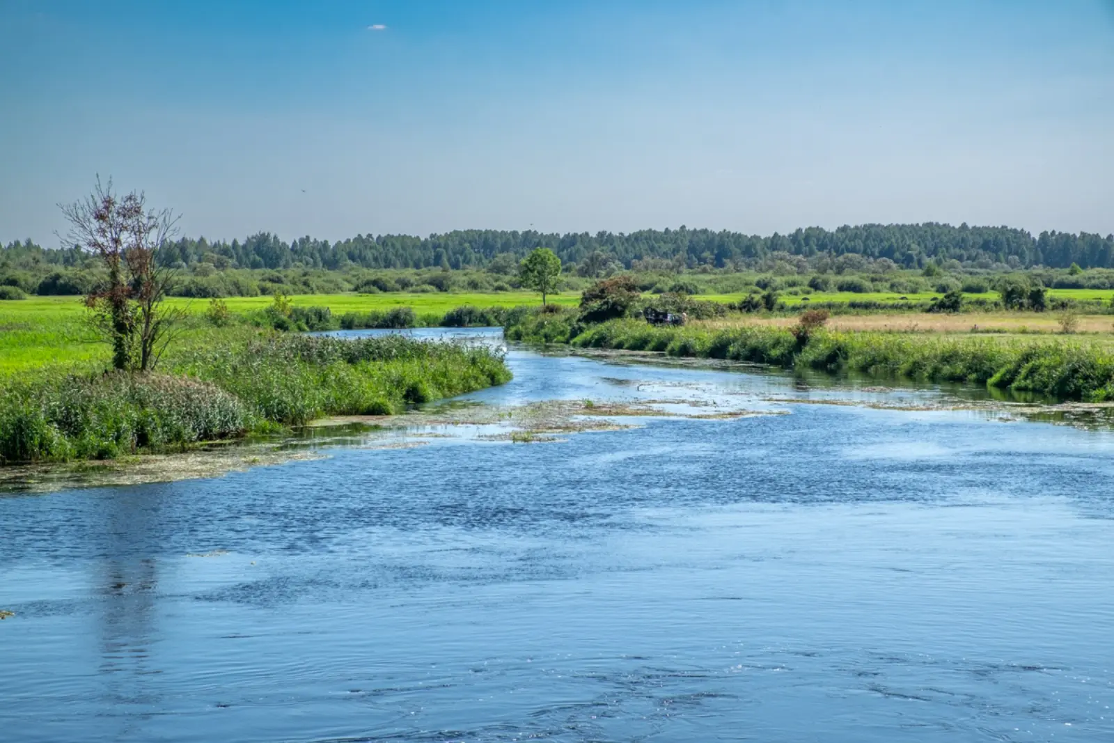 Biebrzański PN — zdjęcie z podróży 2