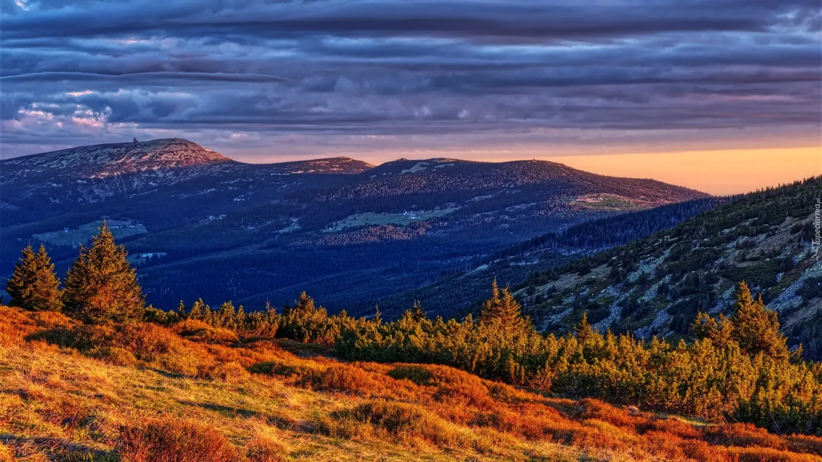 Karkonosze