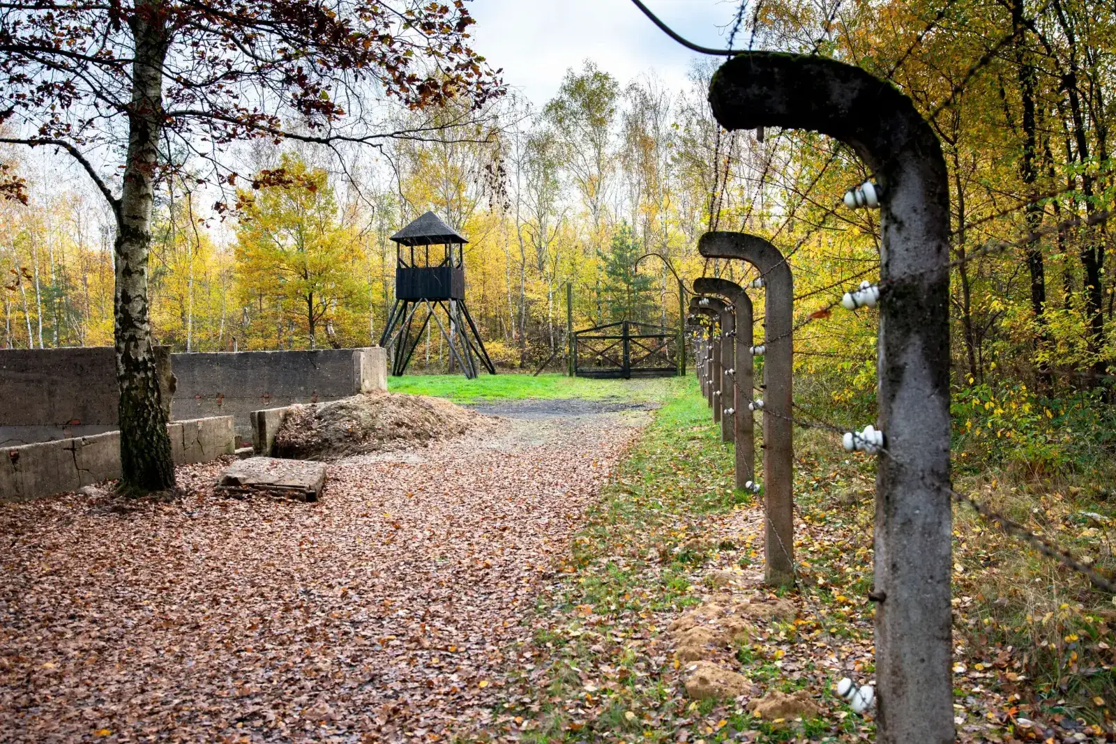 Łambinowice — zdjęcie z podróży 1