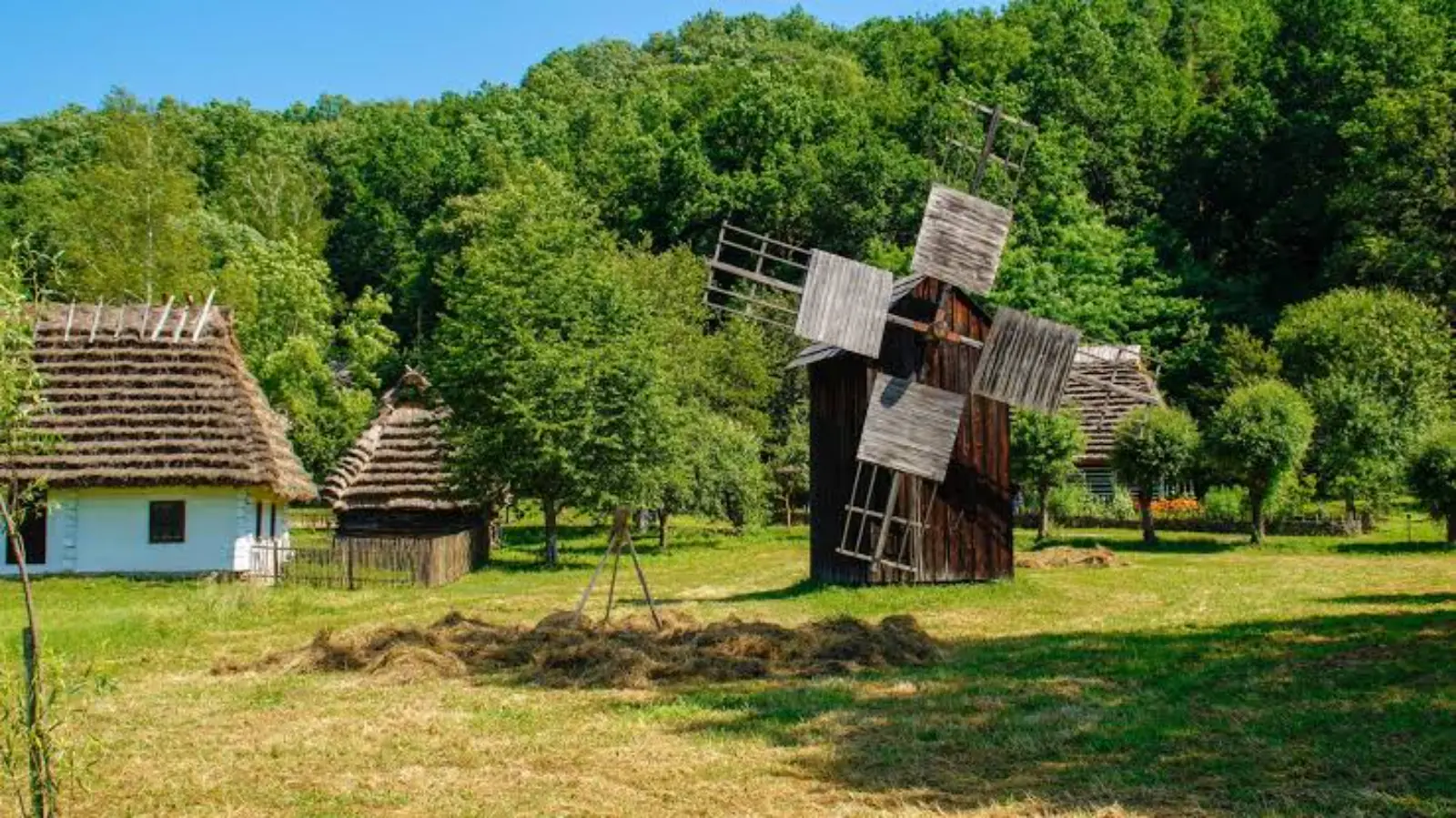 Sanok