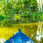 Kayak en Polonia: aventura en sus ríos