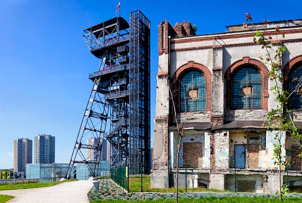 Los mejores lugares para observar aves Los mejores lugares para observar aves