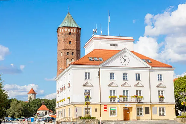 Especies de aves notables Especies de aves notables