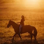 Explora Polonia a caballo: rutas ecuestres únicas